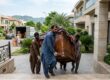 Packers and Movers in Islamabad